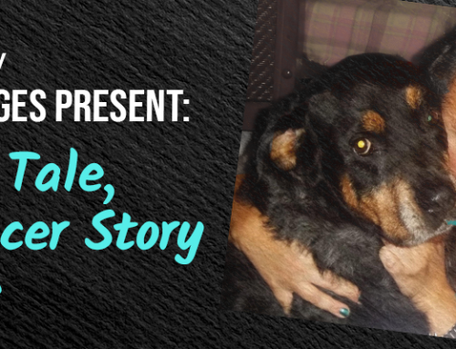 A Bella Tale, My Cancer Story of Hope.